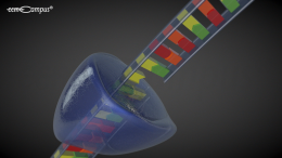 DNA-Schäden und Reparatur