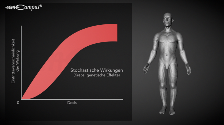 page.title Vorschaubild