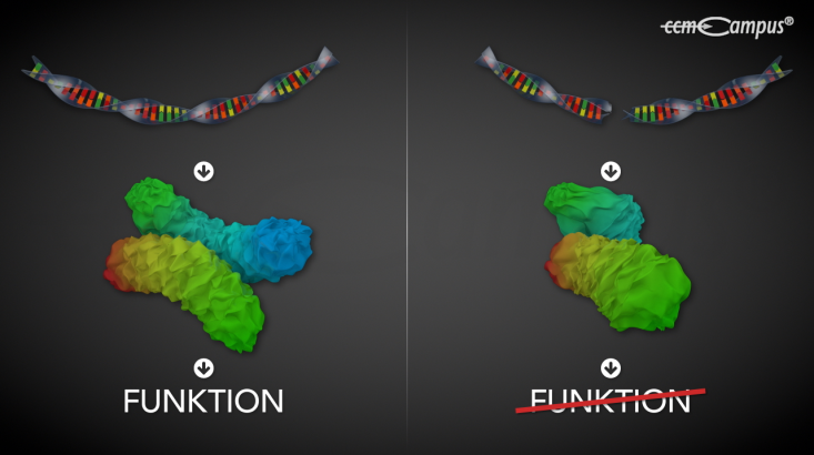 page.title Vorschaubild