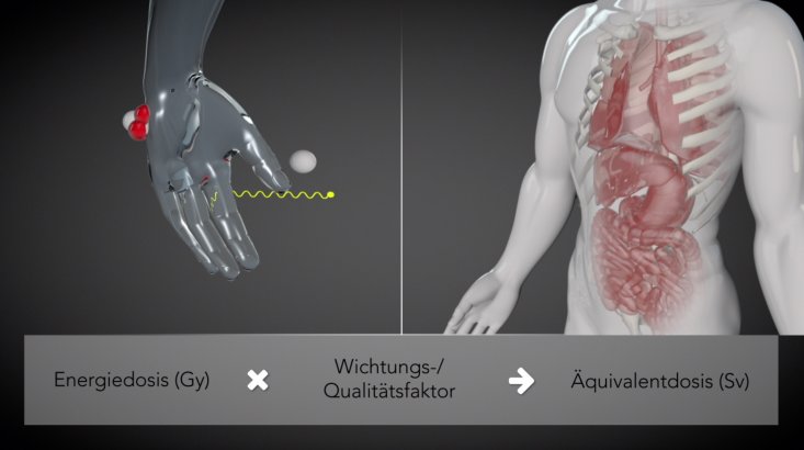 page.title Vorschaubild