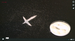 Absorption und Streuung