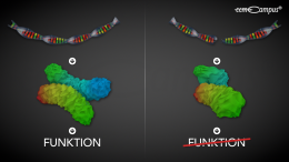 Folgen von DNA-Schäden